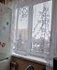 Сдам 1-комнатную квартиру в Новосибирске, Ленинский, Вертковская ул. 19, 32 м²