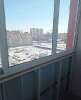 Сдам студию в Новосибирске, Кировский, ул. Петухова 95/4, 30 м²