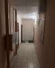 Сдам студию в Новосибирске, Заельцовский, Плановая ул. 50, 27 м²