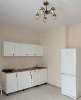 Сдам студию в Новосибирске, Октябрьский, микрорайон Закаменский 12, 24 м²