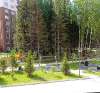 Сдам 1-комнатную квартиру, Без района, Красный пр-т 329/1, 42.5 м²