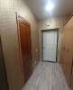 Сдам студию в Новосибирске, Заельцовский, Светлановская ул. 52/2, 27 м²