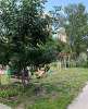 Сдам студию в Новосибирске, Заельцовский, Дачная ул. 40/1, 20 м²