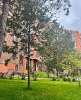 Сдам студию в Новосибирске, Калининский, Охотская ул. 88, 33 м²