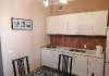 Сдам студию в Новосибирске, Октябрьский, ул. Сакко и Ванцетти 31/1, 45 м²