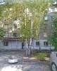 Сдам комнату в Новосибирске, Кировский, ул. Петухова 53/2, 10 м²
