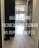 Сдам студию в Новосибирске, Заельцовский, Кубовая ул. 53, 20 м²