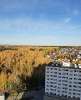Сдам студию в Новосибирске, Первомайский, ул. Ошанина 5, 28 м²