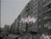 Сдам 4-комнатную квартиру, Гусинобродское ш. 11, 70 м²