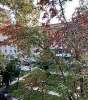 Сдам 1-комнатную квартиру, Без района, Красный пр-т 94/1, 32 м²